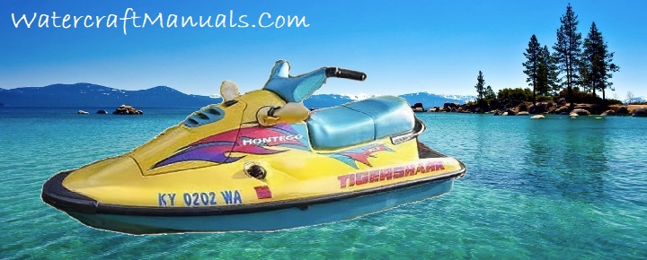 Arctic Cat Tigershark PWC Watercraft